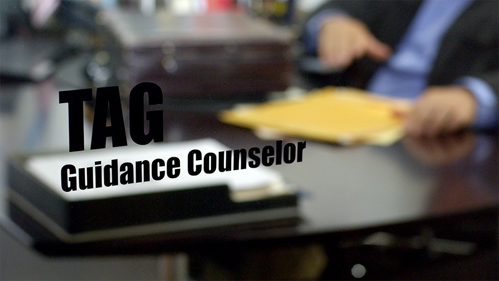TAG Guidance Counselor